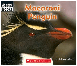 Macaroni Penguin book by Edana Eckart